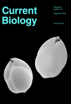 Natural Genetic Variation in a Multigenerational Phenotype in C. elegans