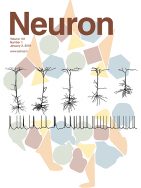 Migraine-Associated TRESK Mutations Increase Neuronal Excitability through Alternative Translation Initiation and Inhibition of TREK
