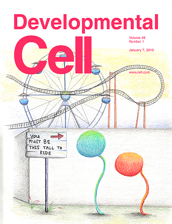 An EGF-Responsive Neural Circuit Couples Insulin Secretion with Nutrition in Drosophila