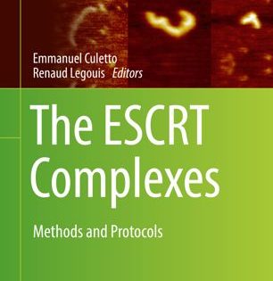 Functional Analysis of ESCRT-Positive Extracellular Vesicles in the Drosophila Wing Imaginal Disc.