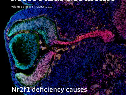Mouse Nr2f1 haploinsufficiency unveils new pathological mechanisms of a human optic atrophy syndrome