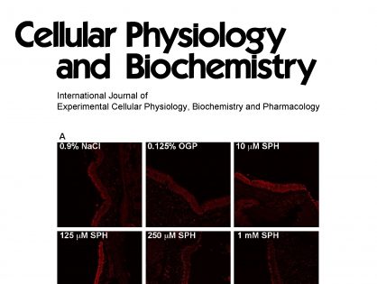 Control of Muscle Fibro-Adipogenic Progenitors by Myogenic Lineage is Altered in Aging and Duchenne Muscular Dystrophy