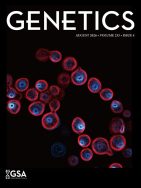 Global genomic diversity of the selfing nematode Caenorhabditis tropicalis correlates with geography
