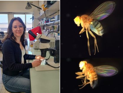 ‘Role of biological sex in feeding behavior in Drosophila’, with Laura Lavocat