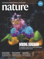 Whole-brain annotation and multi-connectome cell typing of Drosophila