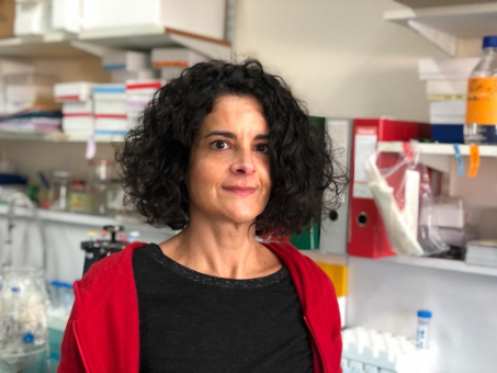 NR2F2: a key player in fetal masculinization