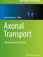 High-Resolution Live Imaging of Axonal RNP Granules in Drosophila Pupal Brain Explants