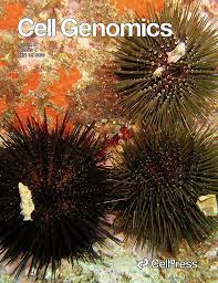 Analysis of the P. lividus sea urchin genome highlights contrasting trends of genomic and regulatory evolution in deuterostomes