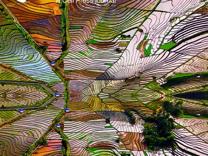 Nuclear hormone-sensitive lipase regulates adipose tissue mass and adipocyte metabolism