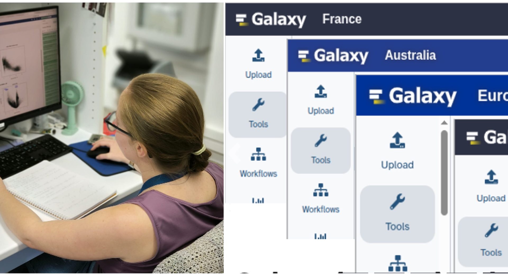 ‘Galaxy: Bioinformatics for noobs’, with Chloé Leray