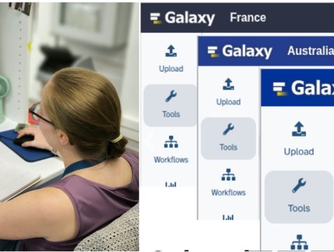 ‘Galaxy: Bioinformatics for noobs’, with Chloé Leray