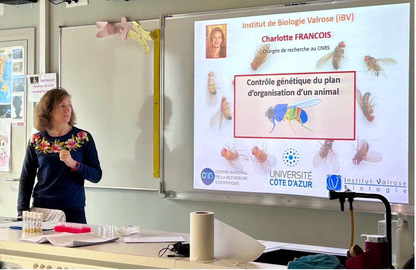 Drosophila at the Heart of the Second Session of the cordée de la réussite “From Gene to Organ” Program