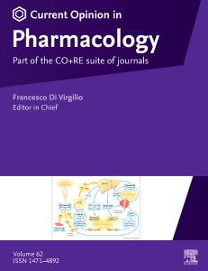 Photopharmacological approaches for dissecting potassium channel physiolog