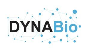 Chair-Group leader position in Chemistry of Biological Systems
