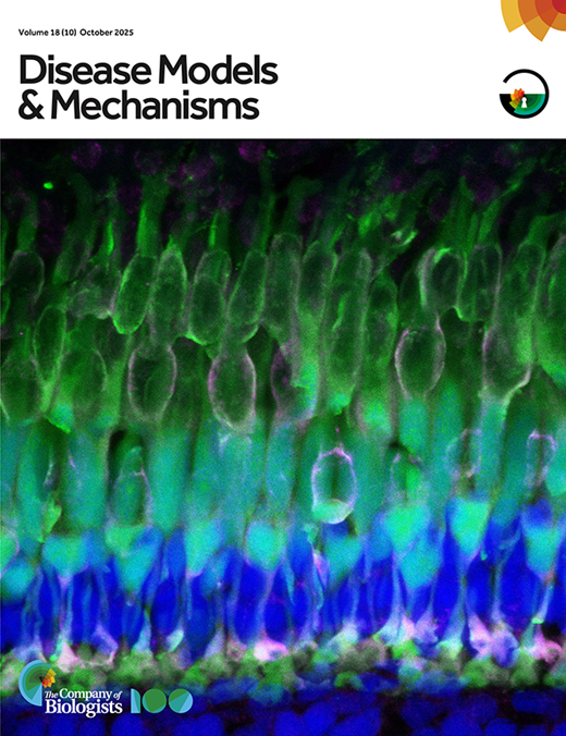 Models of Bosch-Boonstra-Schaaf optic atrophy syndrome reveal genotype-phenotype correlations in brain structure and behavior