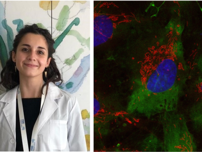 Mind the mitochondria : from Turin to Nice with Eleonora Dallorto