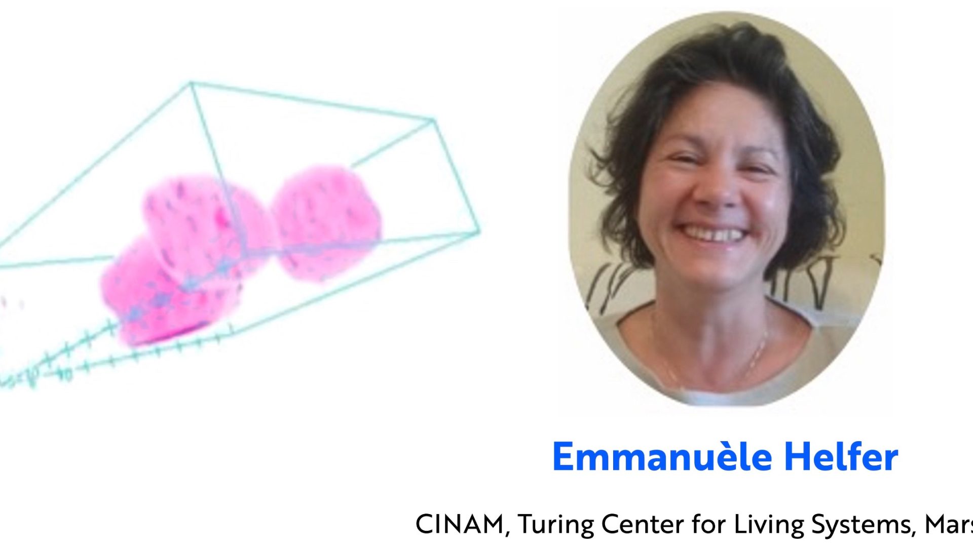 MECABIONIC Seminars - Cell mechanics upon lamin A/C alterations