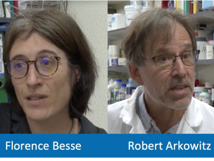 iBV researchers speak out in the media on the challenges of international research