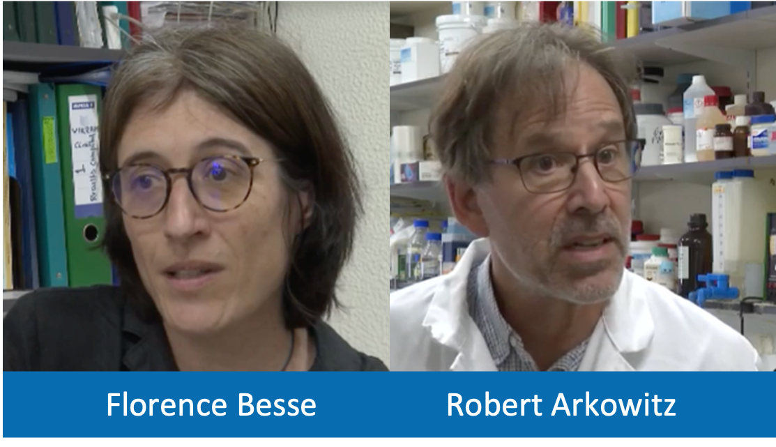 iBV researchers speak out in the media on the challenges of international research