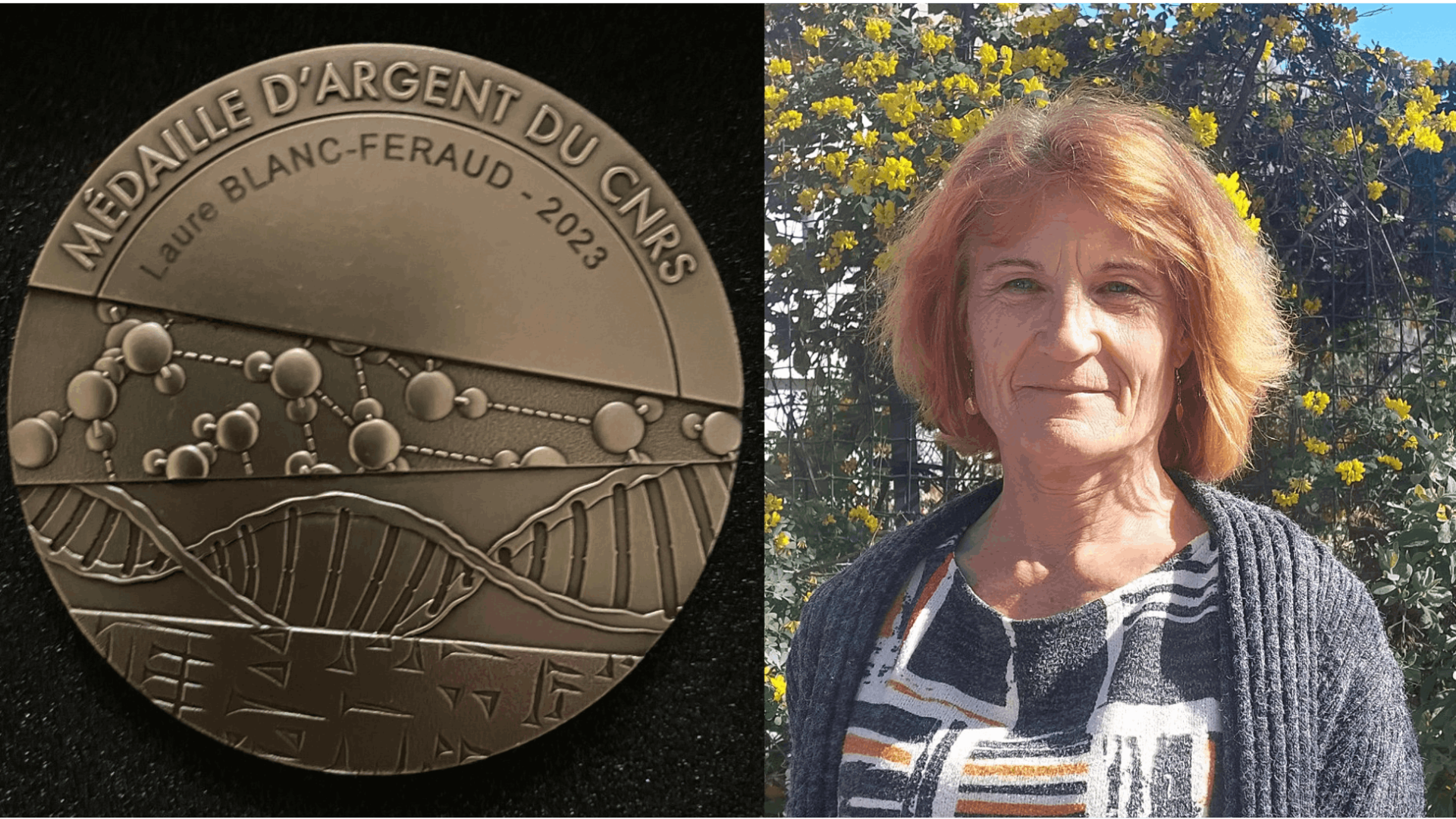 Meeting with Laure Blanc-Féraud (MORPHEME Team: i3S/iBV/INRIA), mathematician specialized in image processing, recently awarded the CNRS Silver Medal