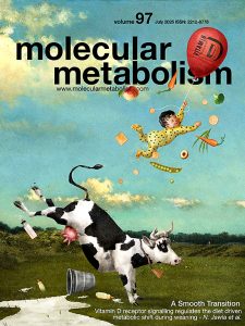 Deletion of PPARα in mouse brown adipocytes increases their De Novo Lipogenesis
