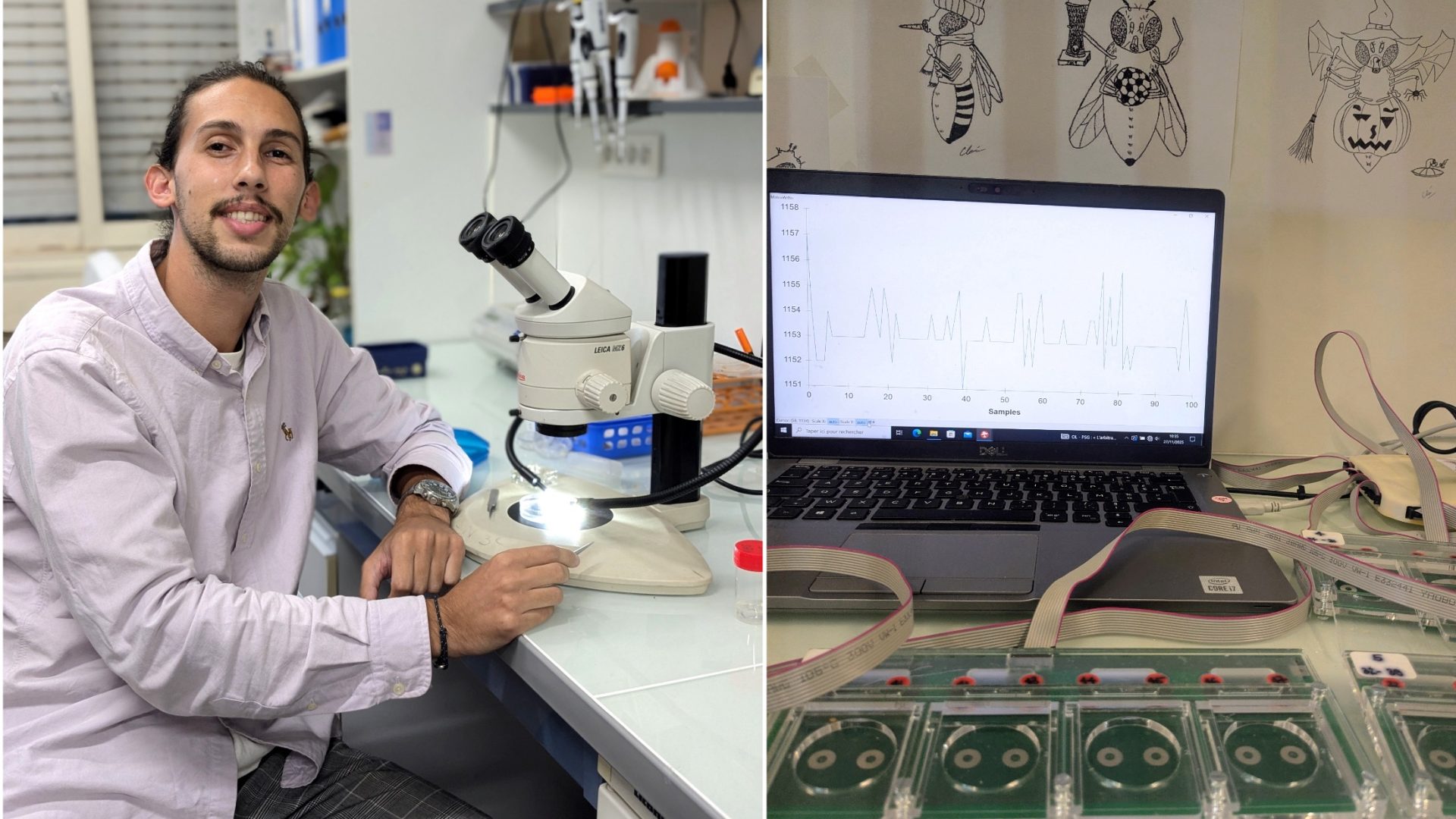 ‘How does brain laterality impact behavior in the Drosophila model?’, with Nils Ravel