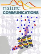 Nuclear position controls the activity of cortical actomyosin networks powering simultaneous morphogenetic events