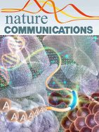 Ectoderm tensile stress controls mesoderm internalization during embryo gastrulation