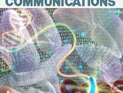 Ectoderm tensile stress controls mesoderm internalization during embryo gastrulation