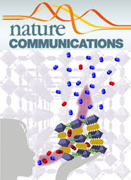 Nuclear position controls the activity of cortical actomyosin networks powering simultaneous morphogenetic events