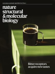 Cracking the (zip)code of dynein-dependent RNA localization