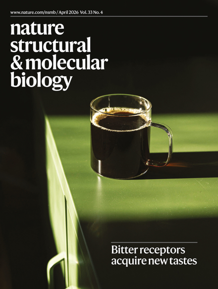 Cracking the (zip)code of dynein-dependent RNA localization