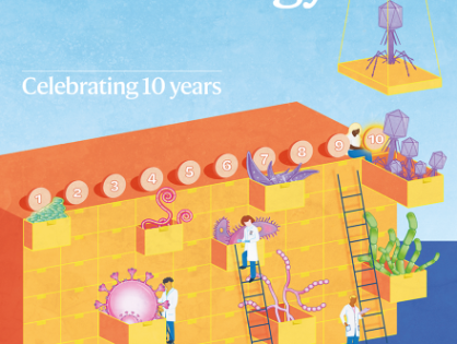 Decreased cytoplasmic crowding via inhibition of ribosome biogenesis can trigger Candida albicans filamentous growth