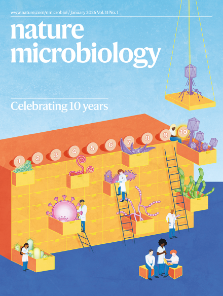 Decreased cytoplasmic crowding via inhibition of ribosome biogenesis can trigger Candida albicans filamentous growth