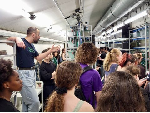 Immersion of undergraduate Life Sciences students at IBV: a morning to discover research careers!