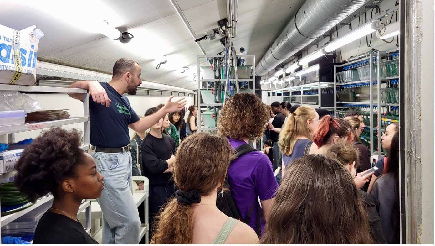 Immersion of undergraduate Life Sciences students at IBV: a morning to discover research careers!