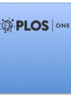 Developmental plasticity of hermaphrodite sperm production across environments in Caenorhabditis elegans