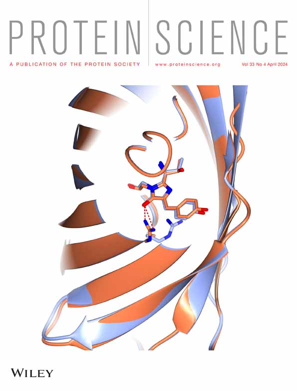 Disrupted protein interaction dynamics in a genetic neurodevelopmental disorder revealed by structural bioinformatics and genetic code expansion