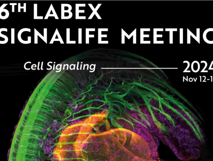 6TH LABEX SIGNALIFE MEETING