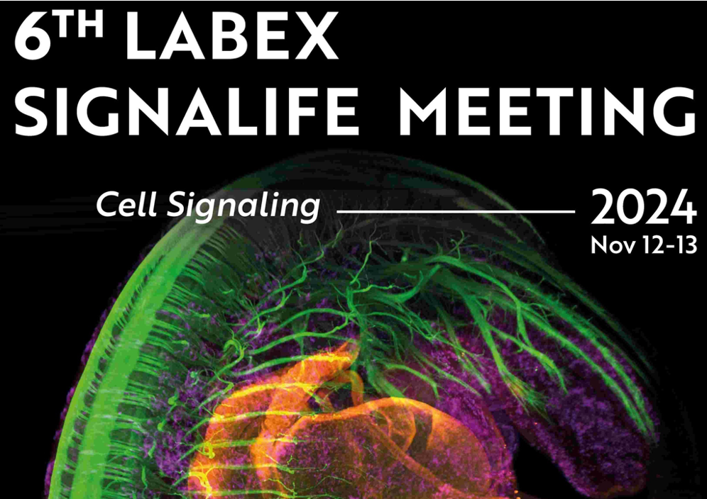 6TH LABEX SIGNALIFE MEETING