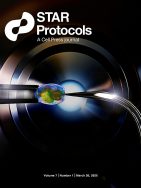 Protocol for preparation of a synaptosome-enriched fraction to profile presynaptic RNA content in adult Drosophila brains
