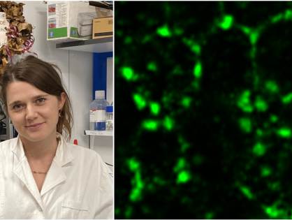 CRISPR constructs for in vivo gene editing workshop with Mathilde Solyga