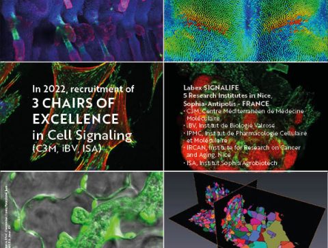 Call for Chairs of Excellence – Labex SIGNALIFE