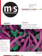 Axonal mRNA localization and long-term memory formation