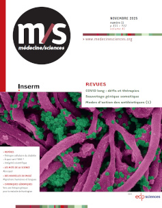 Axonal mRNA localization and long-term memory formation